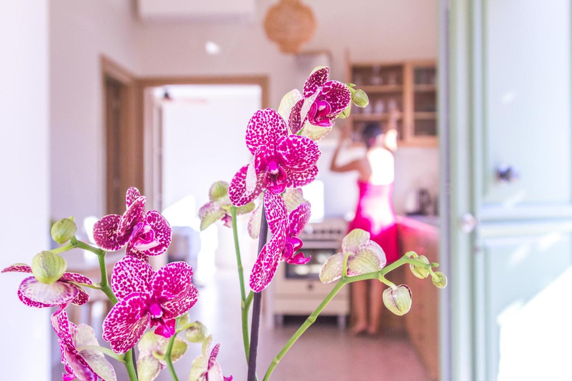 Petra Boutique Villas Arjinónda Szoba fotó